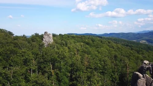 Beautiful drone panoramic view of green forest