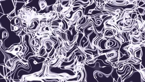 Dynamic Fluid Neon Abstract Lines Motion Background