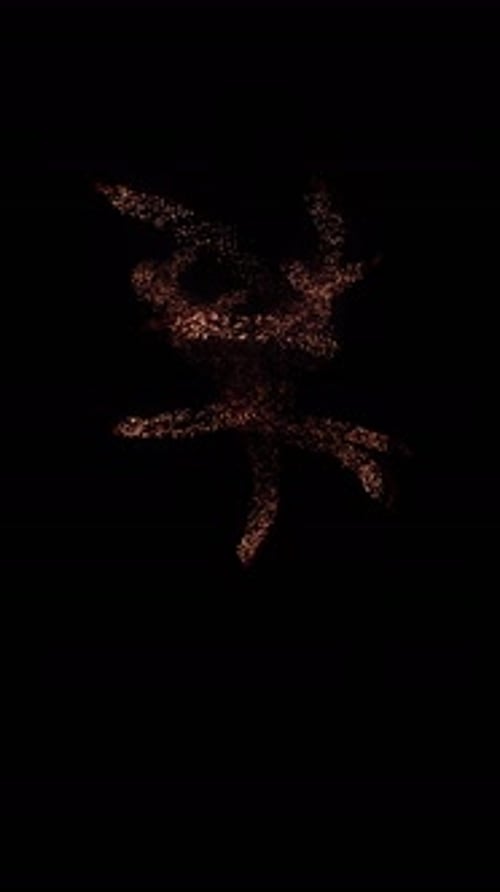 Realistisches Himmelsfeuerwerk Vfx (5)