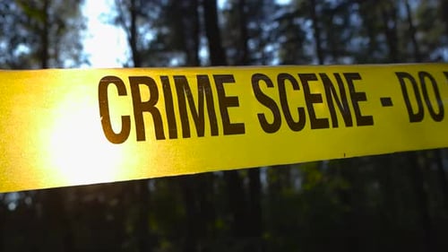 Close up view of sunlight backlighting a Crime Scene tape in front of a woodland or forest area.