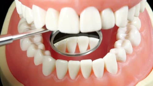 Patient at a Dentist Appointment in a Dental Clinic. View from Inside the Dental Jaw. Tooth Model
