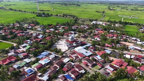 Aerial view of Penaga village mosque and rice fields