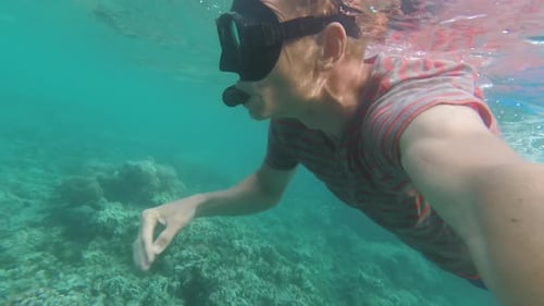 Male Snorkeler Enjoying Underwater Views