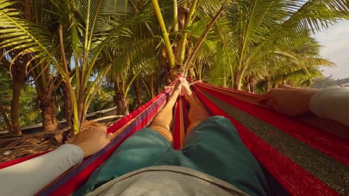 First Person Perspective Of Man Lying In Hammock Among Palm Trees With Legs Extended And Hands