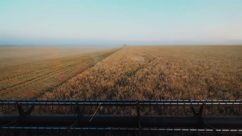 Harvesters for Harvesting Grain While Working View From the Combine Harvester Cab Harvesting