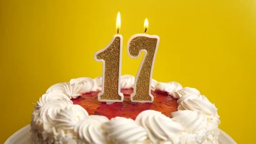 17. A candle in the form of the number 17, inserted into the holiday cake, is blown out. Celebrating