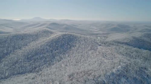 Aerial View of a Frozen Forest with Snow Covered Trees at Winter Flight Above Winter Forest Aerial