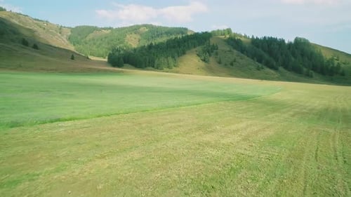 Low Altitude Aerial Over a Green Field Between the Hills and Trees Beautiful Summer Landscape
