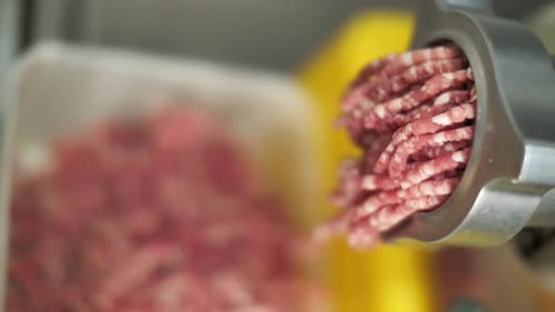 Food processing, grinding producing minced meat, close up