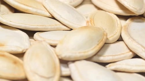 Close Up Panning of Pumpkin Seeds