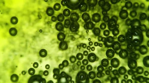 Contagion Collection: Scattered microscopic cells popping over a green crystalline surface