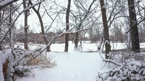 Shot pushing through trees covered in snow to get to a river bank.