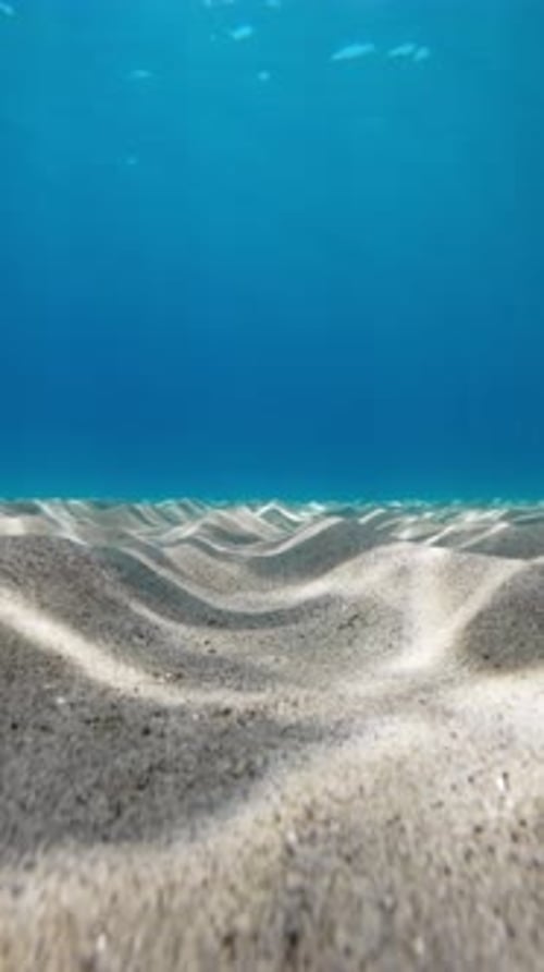 Underwater Scene with Sandy Seabed and Clear Blue Water