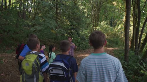 Children explore nature on a summer hiking adventure at camp in the woods