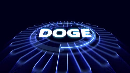 Acronyme DOGE. Le ministère de l'Efficacité gouvernementale est une entité du groupe de travail demandée