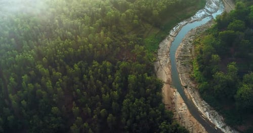 Aerial view of river cutting through misty jungle at sunrise