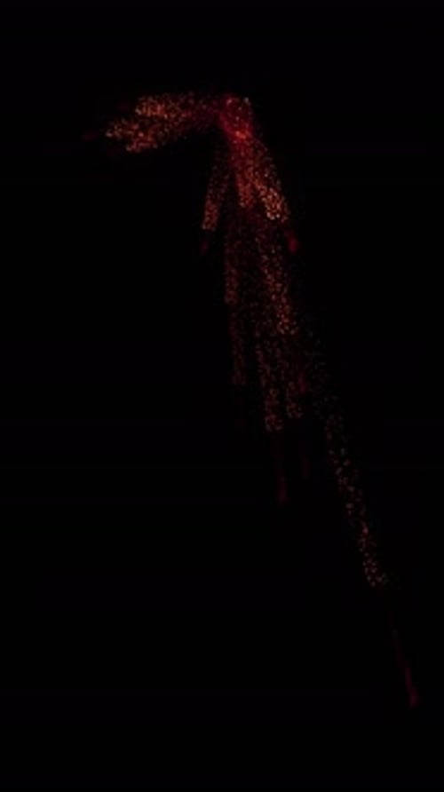 Abstract Red Particle Swirl Background Animation