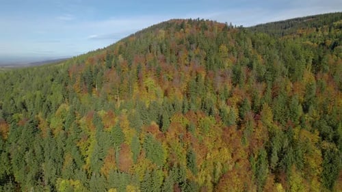 Aerial establishing shot of the rural landscape with autumn mountain forest during the fall season