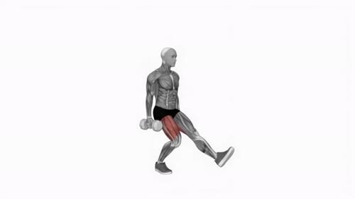 Animated Anatomical Bulgarian Split Squat Exercise Demonstration