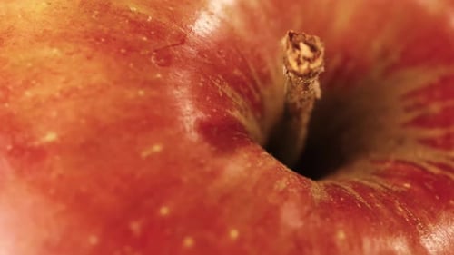 Shot of stem and top of red apple.