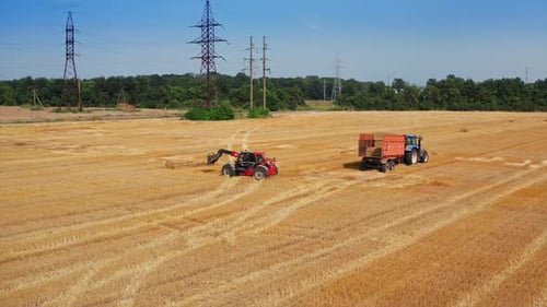 Farm aerial harvesting by combine. Golden agricultural golden combine harvesting.