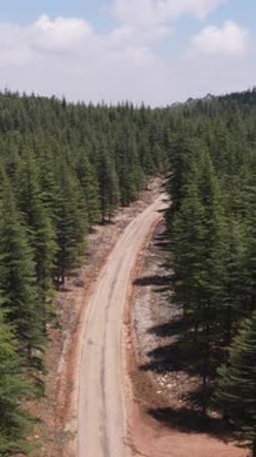 Mountain Road Drone View