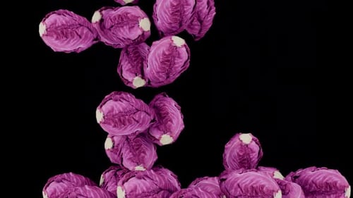 Red Cabbages Falling and Filling the Frame