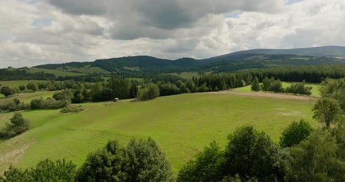Aerial View Of Green Forest Landscape