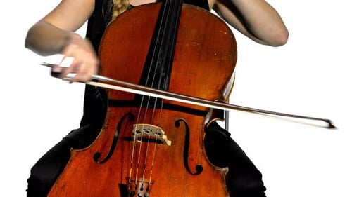 A close up of a musician playing the cello