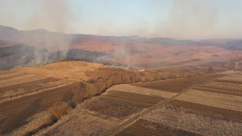 Aerial View of Spring Dry Grass Burning Field, Fire And Smoke in the Meadow, Nature Pollution