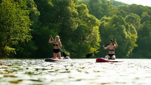 Paddle Boarding On River In Sunny Summer Day Women Floating And Paddling Healthy Lifestyle