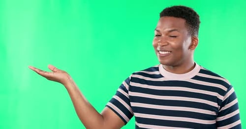 Promotion, Green screen and black man showing open hand or mockup space isolated in a studio