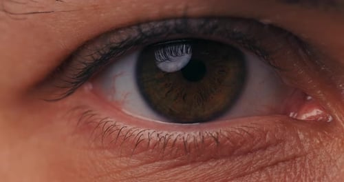 Kontrastreiches Makrovideo eines braunen Auges