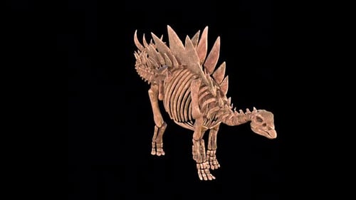 Stegosaurus Skeleton Walk Idle 2