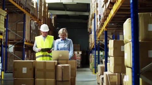Senior woman manager overseeing man worker with laptop in warehouse