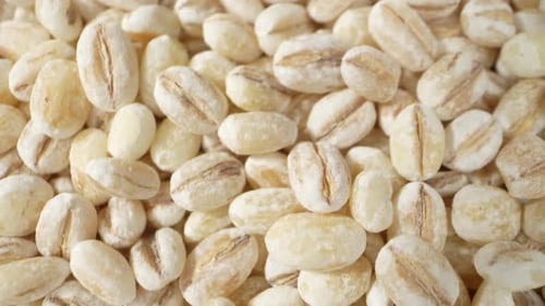 Barley seeds without hulls