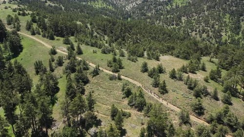 Group Of People Hiking On Forest Path And Landscape With Aerial Shot 2