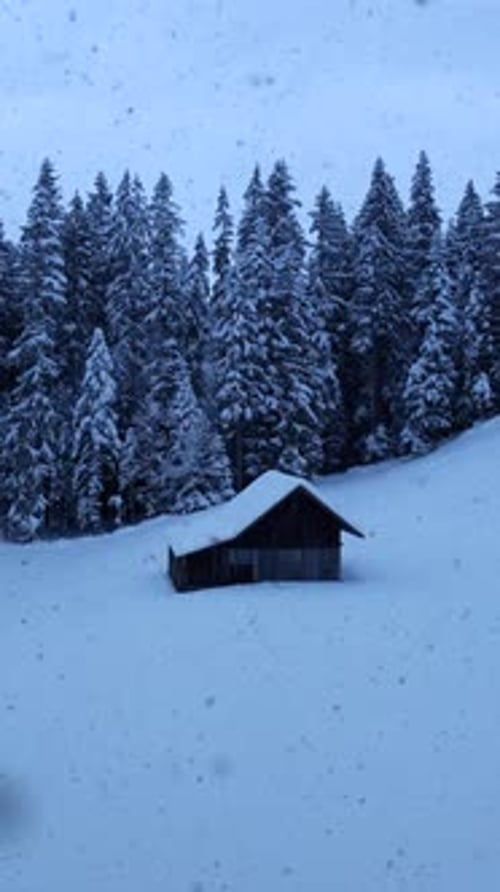 A Serene Winter Landscape with a Cozy Snowcovered Cabin in a Tranquil Pine Forest