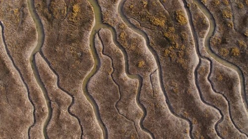 Beautiful Aerial Drone Shot of Tidal River Tributaries and Marsh Land