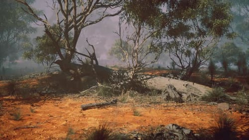 Warm Illuminated Rocky Hill with Patches of Moss and Scattered Boulders