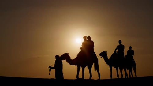 Camel riding in Dubai