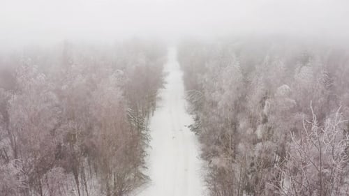 Aerial View of a Winter Snowcovered Pine Forest