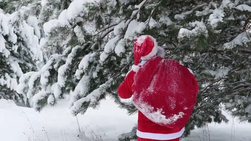 Père Noël avec un grand sac rouge de cadeaux se promène dans la forêt enneigée en hiver, drôle de père Noël se dépêche de