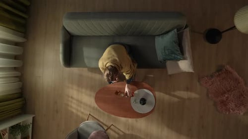 Top View of a Woman Sitting on a Couch in the Living Room in Front of a Coffee Table with a Bottle