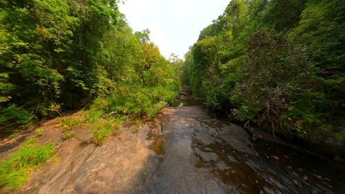 Smooth FPV Flight Over Stream Through Green Tropical Forest in Thailand