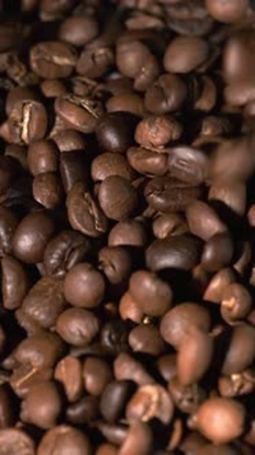 Vertical slow motion of roasted coffee beans falling.