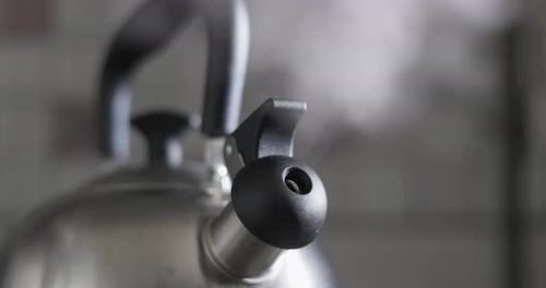 Stainless Steel Kettle with Steam
