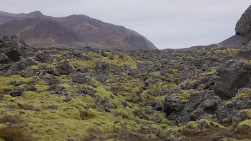 Robuste alte, mit Moos bewachsene Lavasteinsformationen in Island; Luftbild