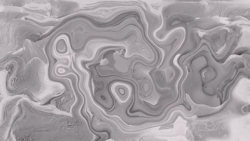 Abstract Fluid Grey Morphing Background Animation