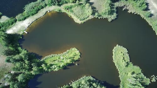 Mysterious Reservoirs In The Green Thicket.